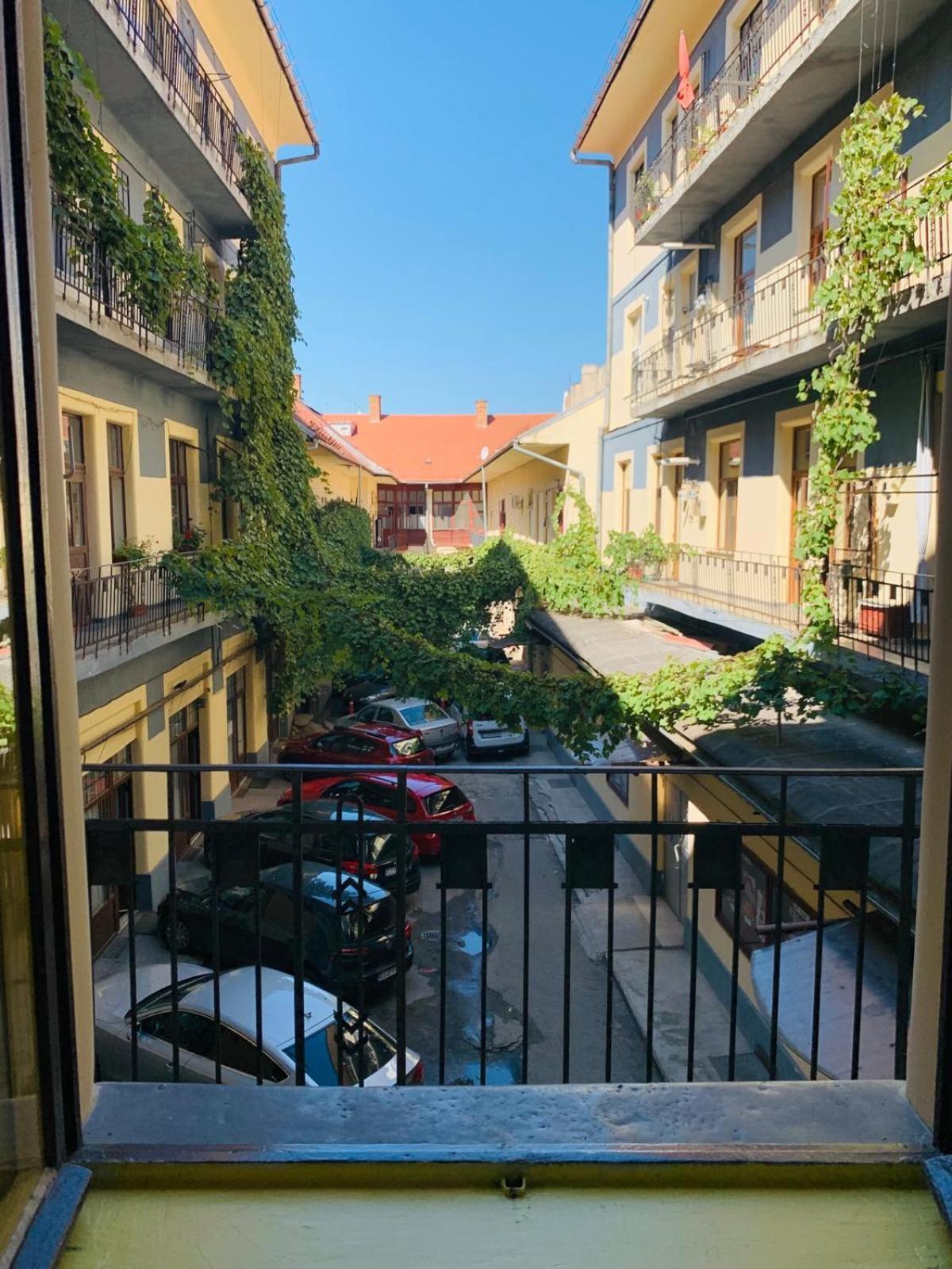 1900 Vetus Central Apartment Kaloşvar Dış mekan fotoğraf